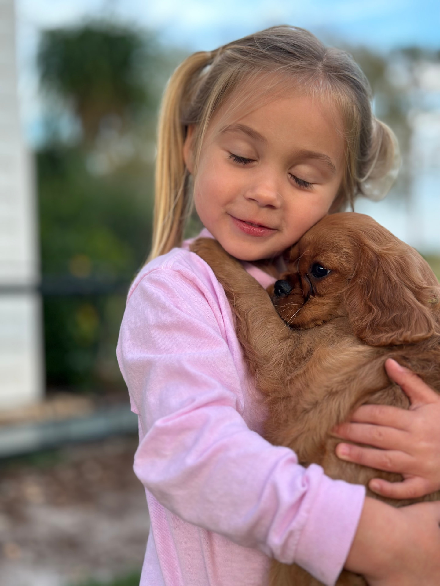 A young girl gently hugging a ruby Cavalier King Charles Spaniel puppy